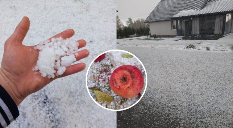 Meteorologai žada žiemą: kai kur Lietuvoje jau pasnigo – štai kada sulauksime daugiau sniego ir šalčio