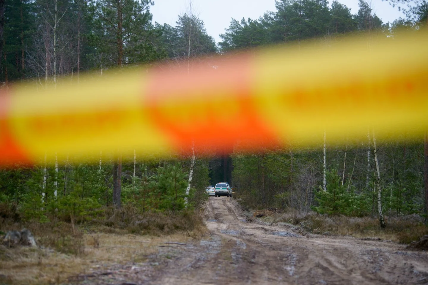 Kraupus radinys Alytaus r. miške stovinčiame automobilyje: jau senokai ieškoto žmogaus kūnas rastas gerokai suiręs