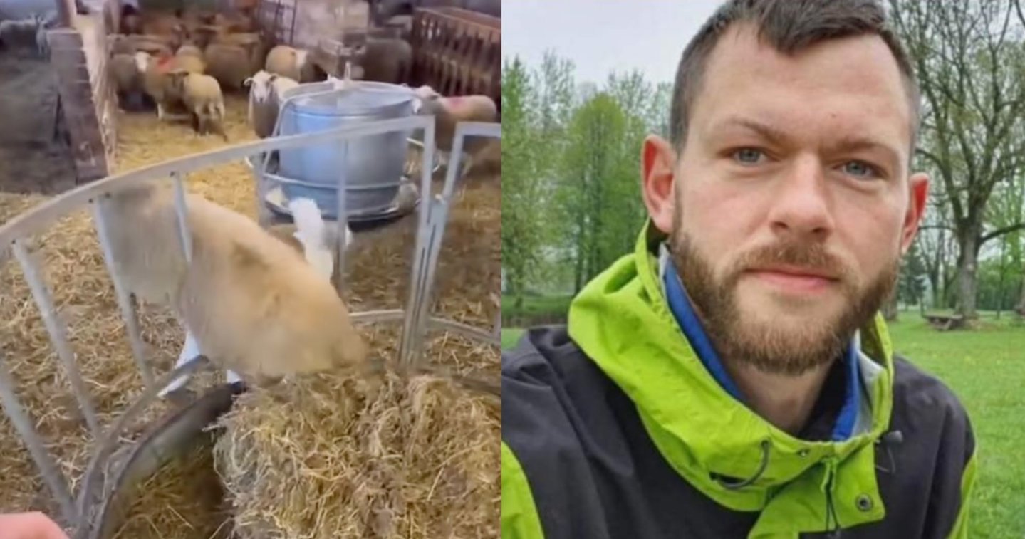 Rokiškio rajone – šiurpą keliantys vaizdai: garsaus ūkininko elgesys su gyvūnais pribloškė net specialistus