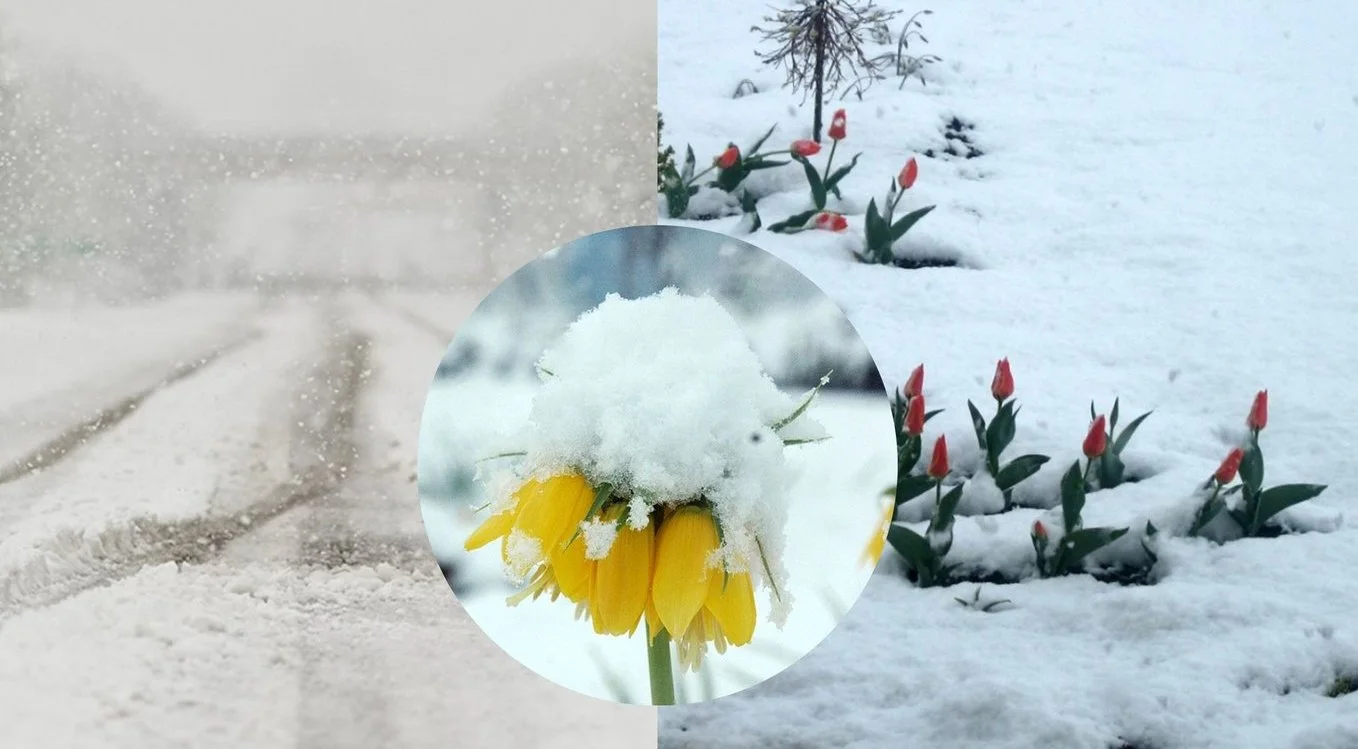 Sniego pusnys užklojo Žemaitiją: tokio gegužės 2-osios ryto Lietuva nebuvo mačiusi
